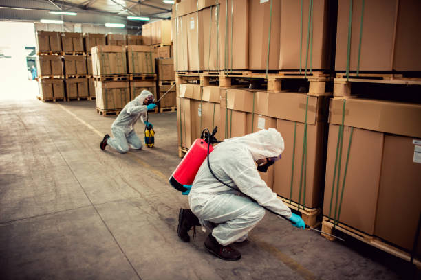 Best Bed Bug Extermination  in Strasburg, OH