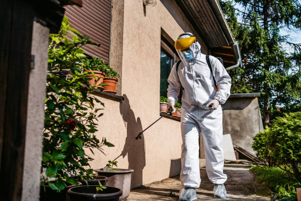 Flea Control Services in Strasburg, OH