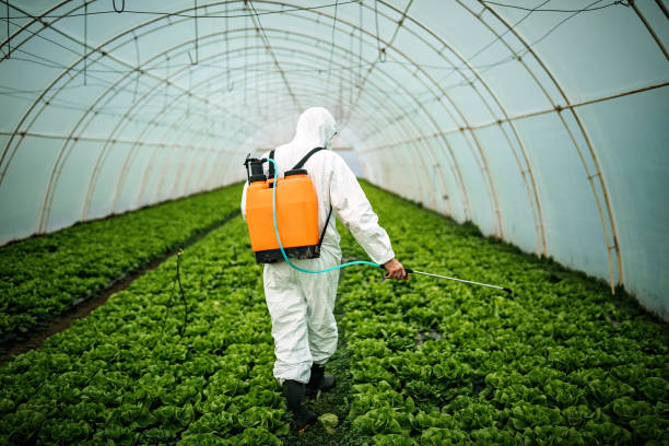 Reliable Strasburg, OH Pest Control Solutions
