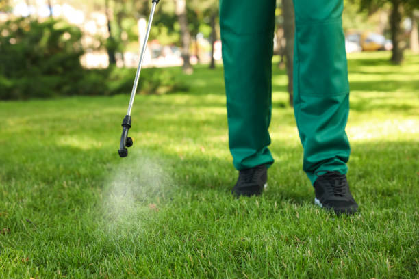 Best Best Pest Control Companies  in Strasburg, OH