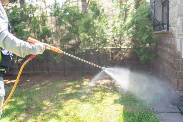 Best Termite Control Services  in Strasburg, OH