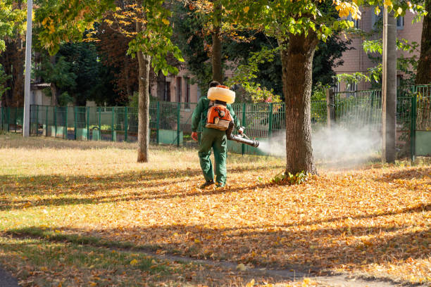 Best Insect Control  in Strasburg, OH